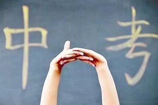 教育咨詢 為您詳細(xì)解讀中考招生政策與辦公服務(wù)